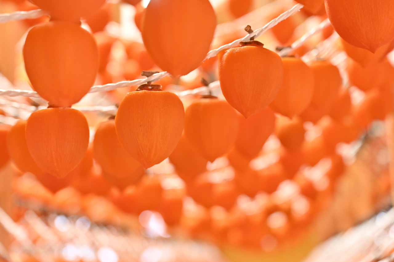 新鮮で美味しい！くだものと野菜