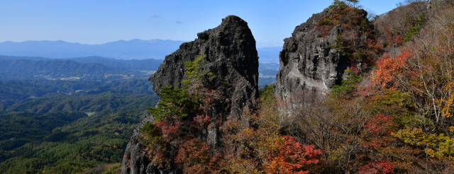 伊達市