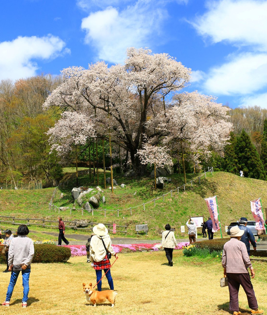 古殿町