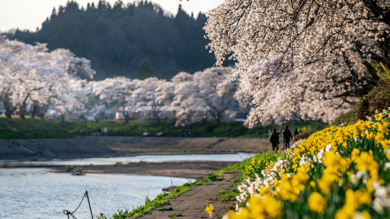 小野町