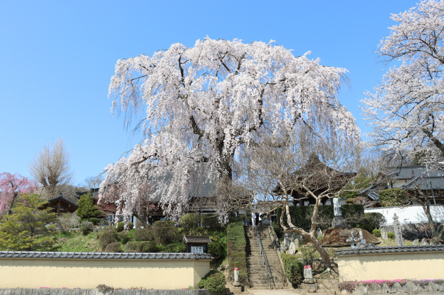 泉崎村