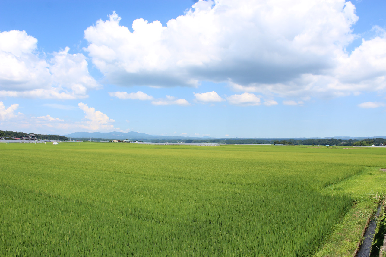 『農業産地』×『緑化木の里』