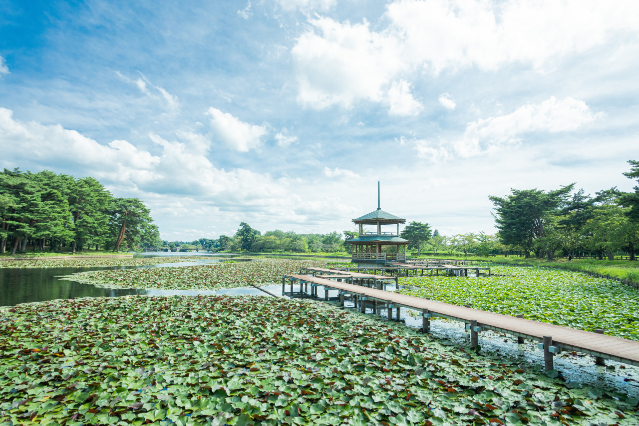 矢吹町