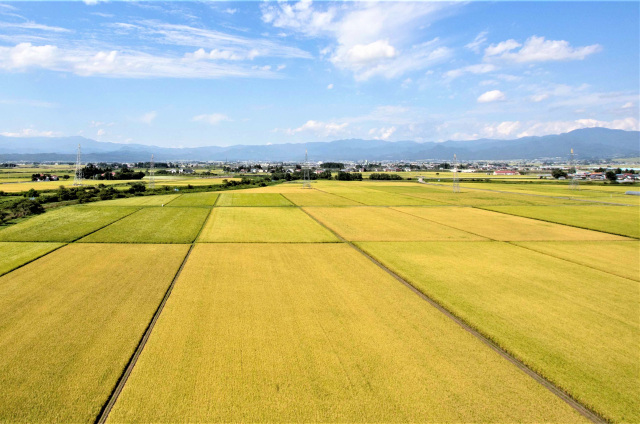 湯川村