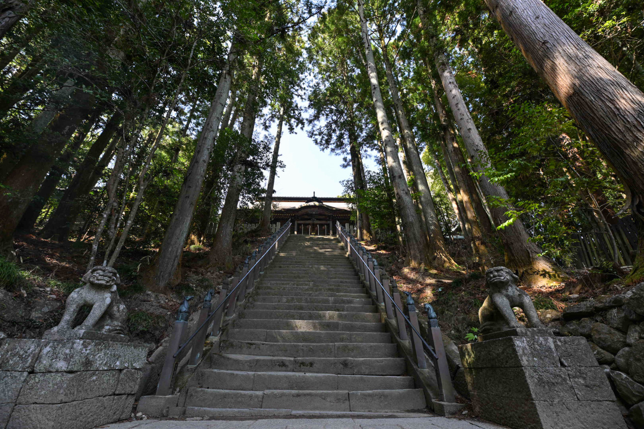 海と山、どちらの自然も楽しめる！