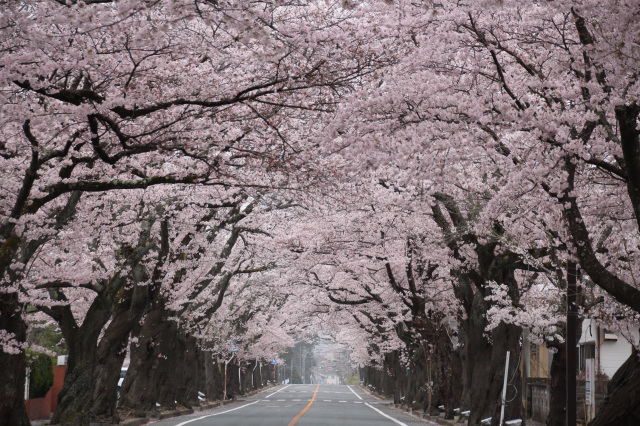 富岡町