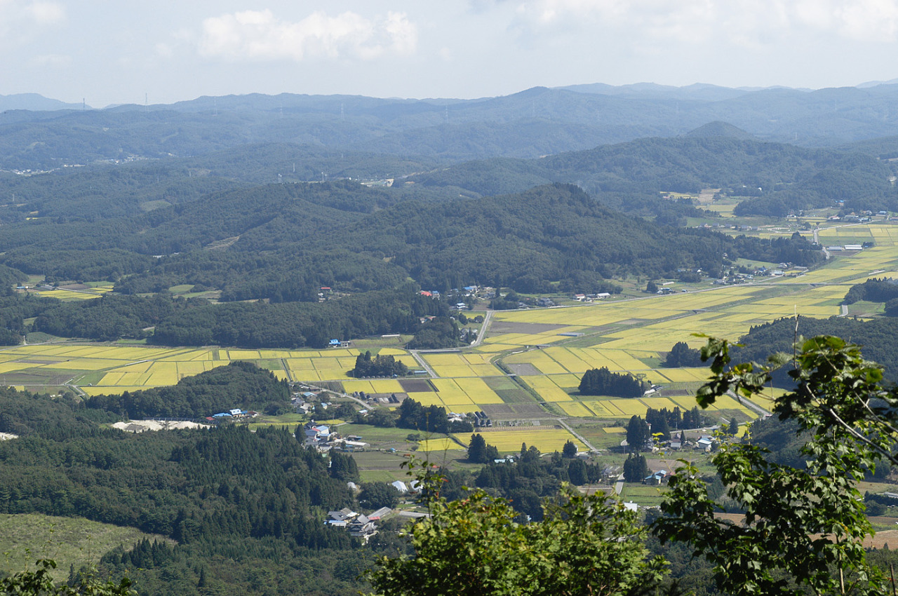 飯舘村