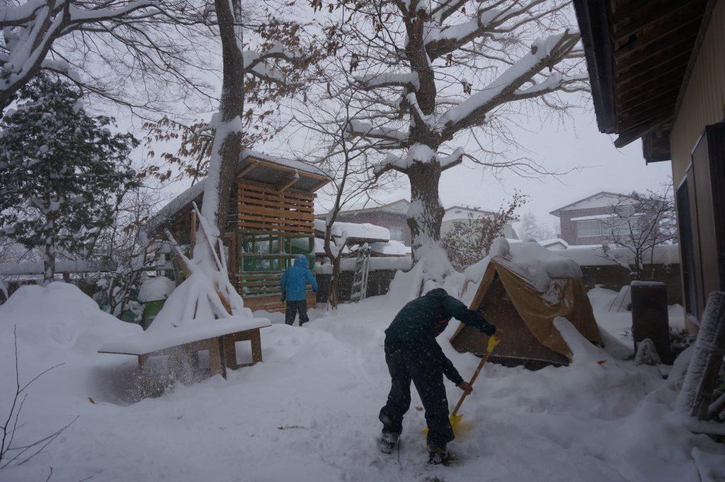 ニワトリ小屋のある庭で雪かきをする和田さん