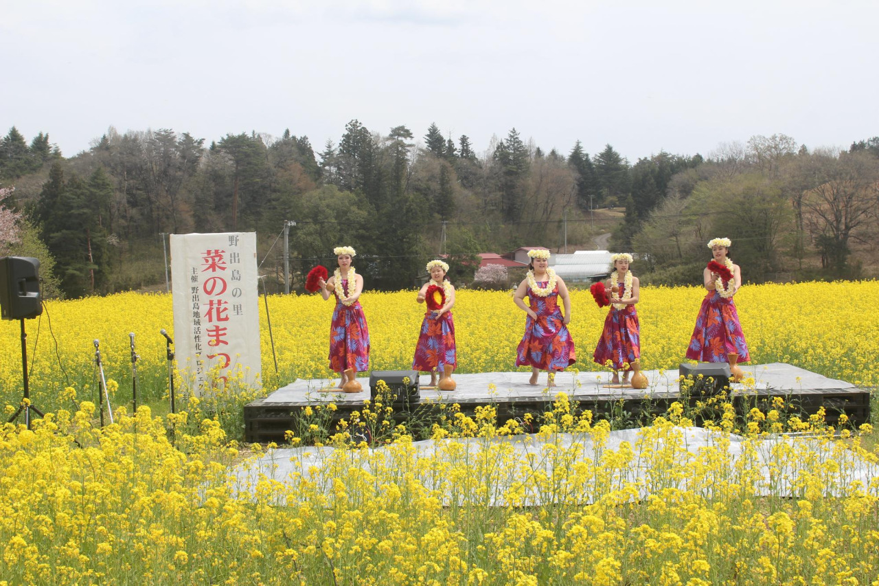 菜の花祭りのステージでフラダンスショー