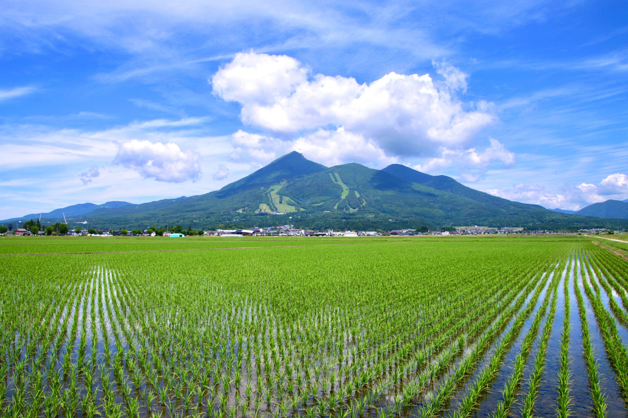 田園風景と磐梯山