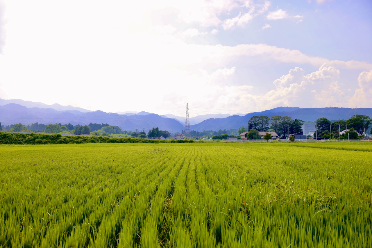 浪江町の田園風景