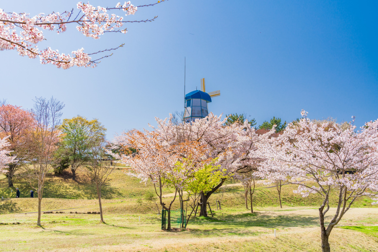 春、ぽかぽか陽気の二ツ沼総合公園