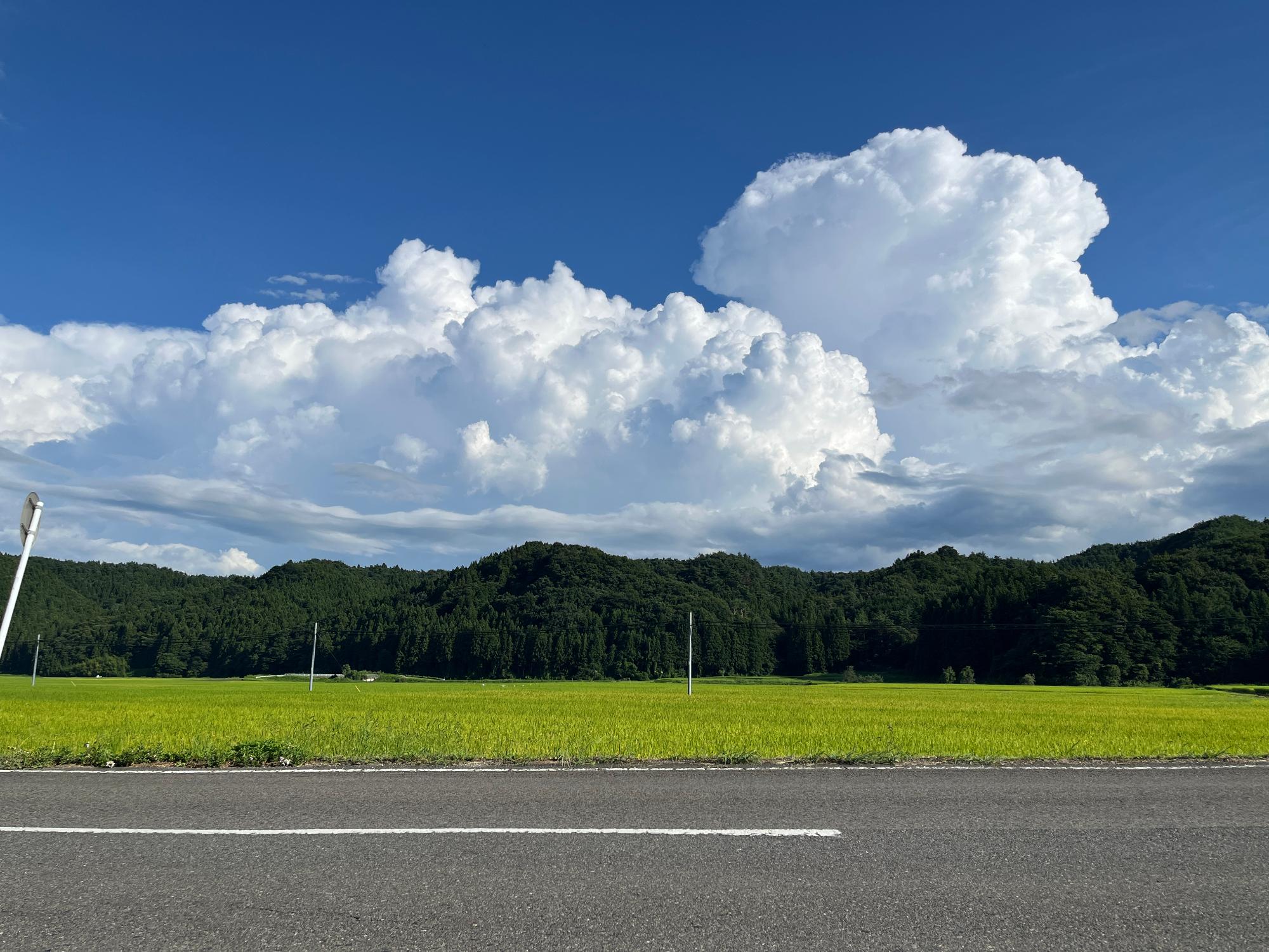 お試し住宅から見た景色